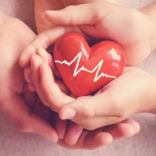 heart-transplant-doctor-in-gurugram